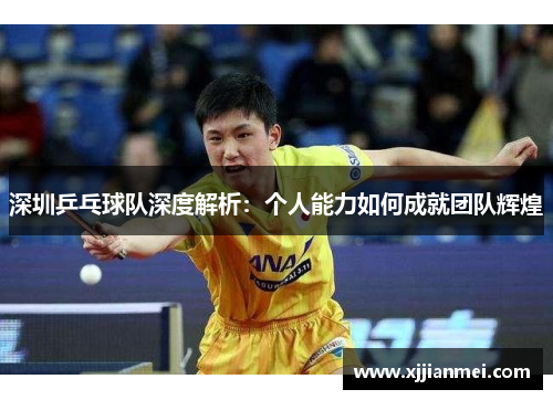 深圳乒乓球队深度解析：个人能力如何成就团队辉煌
